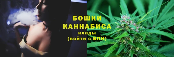 мяу мяу мука Билибино