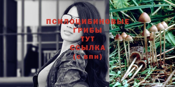 стаф Зеленодольск
