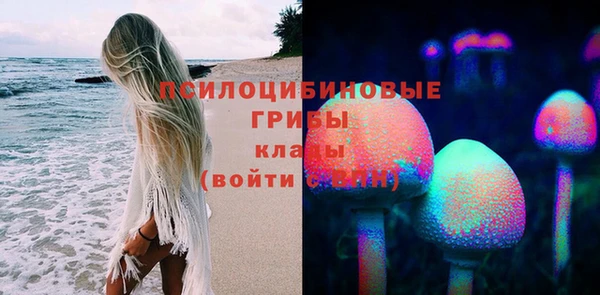 гидропоника Зерноград